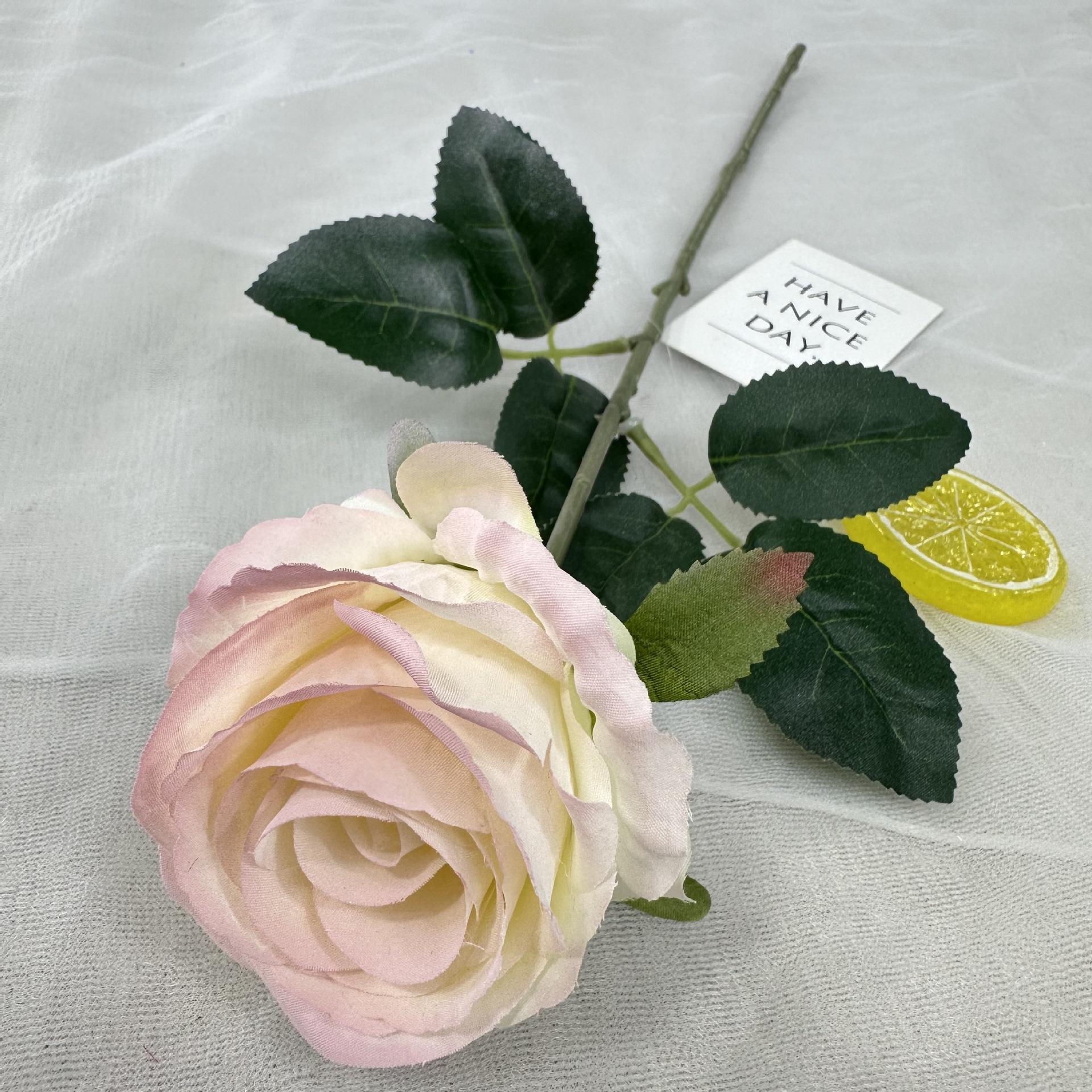 ผงไล่สี