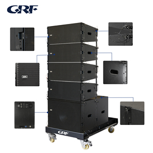 Sistema Audio Personalizzabile, Soluzione Professionale, Altoparlante Line Array Attivo a Due Vie con Doppio Woofer da 10 Pollici per <span class=keywords><strong>DJ</strong></span> e Performance sul Palco - Product Image 4