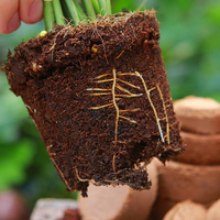 Granulés de coco compressés pour semis Plantes d'intérieur et d'extérieur Herbes Légumes Coco Tourbe de coco