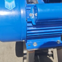 Machine à broyer le maïs et à fabriquer le beurre de cacahuète et la pâte de sésame, 220V, pour usage domestique et commercial – Vente chaude