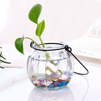 Pot de citrouille décoratif en verre avec fleur pour la décoration de la maison, stockage suspendu à une bouteille de bougie en verre hydroponique, mini aquarium