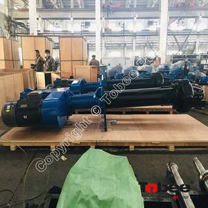 Pompe à boue <span class=keywords><strong>verticale</strong></span> appelée <span class=keywords><strong>broche</strong></span>, fosse, colonne, cantilever, submergée, pompe à ciel ouvert - Product Image 6