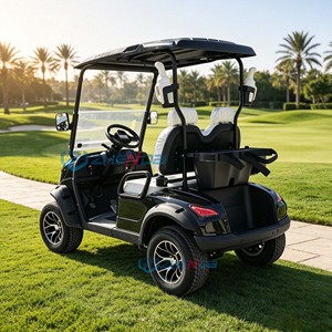 Carrito de golf eléctrico todoterreno de 2 plazas, homologado para circular por la calle, con batería de litio, personalizado para resort, hotel o campo de golf. - Product Image 3