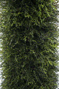 Vente chaude Treesmas 1.6 mètres de haut en forme de cône en plastique et métal arbre artificiel plante topiaire pour la décoration intérieure extérieure - Product Image 5