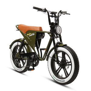 Moteur de moyeu arrière 20 pouces, batterie lithium 48V/14.5Ah, moto pour adultes, design vintage, style rétro avec éléments modernes - Product Image 4