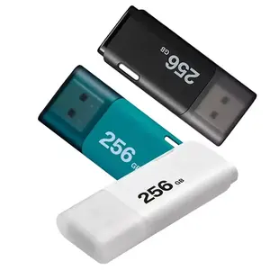 2024工厂散装笔式驱动器批发便宜的快速塑料USB闪存驱动器2.0 3.0 4gb 8gb 16gb 32gb 64gb带定制徽标