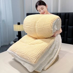 Couette d'hiver en velours jacquard transfrontalière ultra douce <span class=keywords><strong>et</strong></span> respectueuse de la peau, garnissage en fibres de soja, pour lit simple ou double - Product Image 3