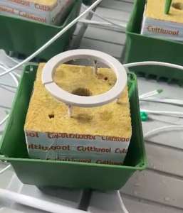 Attrezzatura agricola 5 pollici irrigazione a goccia anello completo con <span class=keywords><strong>3</strong></span>/5mm tubo e gocciolatore emettitore per azienda agricola al coperto - Product Image 6