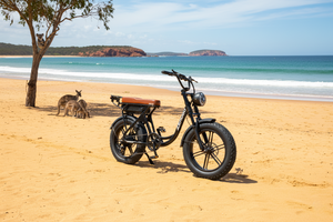 Vélo électrique à pneus larges de 20 pouces, moteur 1000W, batterie au lithium 48V15Ah, tout-terrain, hors <span class=keywords><strong>route</strong></span>, pour le Brésil et l'Australie - Product Image 3