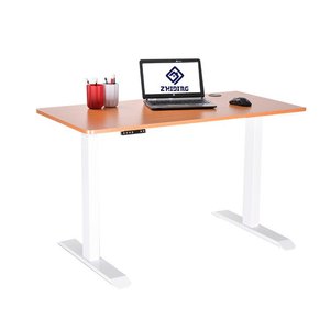 Escritorio ajustable eléctrico de un solo Motor de marcha atrás de 2 etapas para oficina - Product Image 6