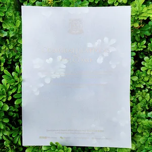 Printed Paper Factory Wholesale Free Sample Recycled translucent Paper Clothes Gift Box Packaging