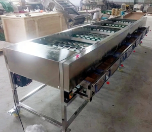 Machines de tri et de calibrage des agrumes, pommes de terre, avocats, mangues, oignons et citrons à prix d'usine - Product Image 5