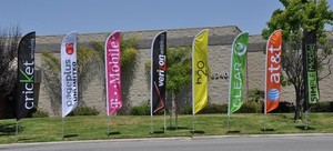 Drapeaux publicitaires personnalisés avec impression de logo QM, vente en gros, bannières promotionnelles, drapeaux promotionnels sur mesure - Product Image 5