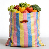 Multicolor gestreepte PP geweven zak, plastic PP geweven boodschappentas, Ghana markt tas, export naar Afrika, verpakking voor graan, rijst en fruit.