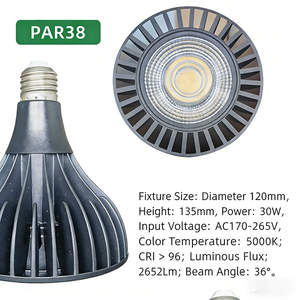 נורת לד 30W <span class=keywords><strong>PAR30</strong></span> E27 ספקטרום מלא לגידול צמחים 110V 220V IP54 סגסוגת אלומיניום 36 זרקור לגידול שתילים וגידול צמחייה - Product Image 4