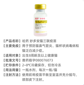 วัคซีนสำหรับ<span class=keywords><strong>แมว</strong></span>: Mydovax Cevas Myou-S Zoetis PureVax - สำหรับป้องกันโรคหวัดไวรัสในแมวและโรค<span class=keywords><strong>หลอดลม</strong></span><span class=keywords><strong>อักเสบ</strong></span>ใน<span class=keywords><strong>แมว</strong></span> - Product Image 2