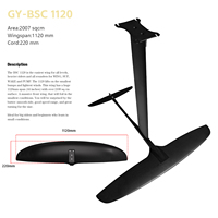 Axis Foil Hydrofoil BSC1120 : Hydrofoil pour débutants à monter derrière le bateau, pour le foilboard, le surf et les sports nautiques.