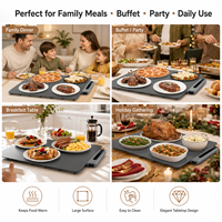 Plateau chauffant électrique 40x40cm, grande plaque chauffante pour buffet, fête, dîner familial, table, cuisine, vente en gros