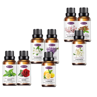 Huile Essentielle de Lavande Naturelle Personnalisable OEM, Aromathérapie Florale, Extrait de Plantes Citron Menthe, Huile Essentielle pour Humidificateur et Diffuseur 30ML