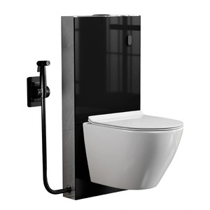 Inodoro Moderno SDAYI de Pared con <span class=keywords><strong>Cisterna</strong></span> de Vidrio, Estilo Europeo, Venta al por Mayor, Tanque Oculto, Doble Descarga, Garantía de por Vida - Product Image 1
