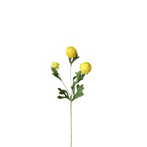 Fleur <span class=keywords><strong>de</strong></span> Renoncule Artificielle Rouge Réaliste Faite à la Main à 3 Têtes pour la Fête des Mères et la Décoration <span class=keywords><strong>de</strong></span> Table <span class=keywords><strong>de</strong></span> Remise <span class=keywords><strong>de</strong></span> Diplôme – Vente en Gros - Product Image 3
