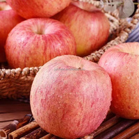 Hete Verkoop Appels (75/80/85) Goedkope Verse Rode Appel
