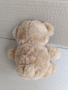 OEM ODM Oso de peluche personalizado 16cm Pequeño oso de peluche a granel <span class=keywords><strong>con</strong></span> camiseta Oso de peluche <span class=keywords><strong>con</strong></span> logotipo personalizado - Product Image 6