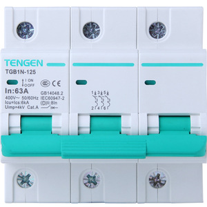Disjoncteur Tengen Tgb1n 125 2P 3P 100A Type D pour la protection du démarrage du moteur - Product Image 4