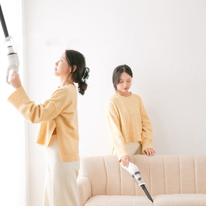 2023 maison ABS sans fil portable <span class=keywords><strong>aspirateur</strong></span> de <span class=keywords><strong>poils</strong></span> d'<span class=keywords><strong>animaux</strong></span> pour tapis et canapé - Product Image 4