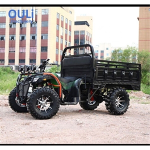 <span class=keywords><strong>Quad</strong></span> 4x4 tout-terrain 250cc pour adultes, idéal pour le transport de marchandises agricoles et les remorques agricoles - Product Image 2