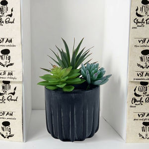 Vente en gros de 100 pièces de plantes succulentes artificielles en vrac-Mini plantes de <span class=keywords><strong>faux</strong></span> <span class=keywords><strong>cactus</strong></span> pour bricolage artisanat décoration de mariage <span class=keywords><strong>pas</strong></span> <span class=keywords><strong>cher</strong></span> - Product Image 6