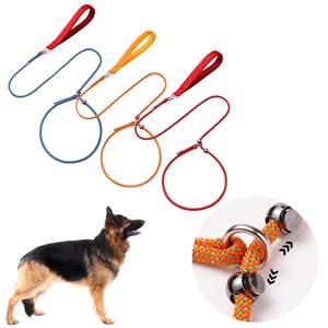 Laisse anti-étranglement professionnelle pour <span class=keywords><strong>chien</strong></span> 360 °   Laisse de dressage pour <span class=keywords><strong>chien</strong></span>, rotative, rembourrée et sécurisée - Product Image 1