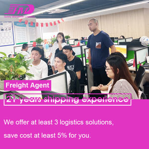 Swwls Air Freight Cargo Logistics DDP Serviços de Xangai para Luxemburgo Bulgária - Product Image 3