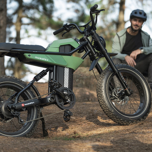 Bici Elettrica Fat Bike per Pendolarismo Urbano, Batteria al Litio 48V, Disponibile in Magazzino USA - Product Image 1