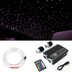 9555-D2 12V Dual-Head Machine Car-Mounted Starry Sky LED Car Fiber Optic <b>Light</b> Machine for Business Vehicles - Product Image 1