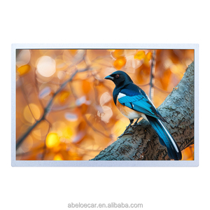 ราคาโรงงาน จอแสดงผล Innolux G101ICE-LH2 ขนาด 10.1 นิ้ว โมดูล LCD ความสว่างสูงพิเศษ 1200nits อ่านได้แม้กลางแจ้ง เหมาะสำหรับตู้คีออสกลางแจ้ง - Product Image 2