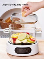 Pot en verre borosilicate de haute qualité à double poignée, sans revêtement, design épuré – Compatible avec les plaques de cuisson électriques et céramiques à flamme directe