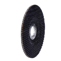 Plaque de support en fibre de verre pour meulage de précision 75*16.3mm, support stable, plateau de meuleuse durable