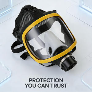 CE Gelber Rand 14 Vollgesichts-Gasmaske mit B2KP100 Filterset, Industrieller Chemikalien-Atemschutz Direkt vom Hersteller - Product Image 3