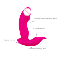 SEXBAY Großhandel Kabelloser Tragbarer Sexy Flüssigsilikon Damen-Unterwäsche Sexspielzeug Slip-Vibrator für Frauen Mit Fernbedienung