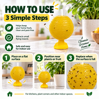 Piège à mouches des fruits jaune collant pour l'intérieur, idéal pour la cuisine, les plantes d'intérieur, les moucherons et le contrôle des petits insectes volants - Vente en gros