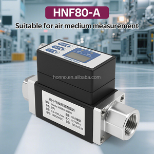 Thông Minh Kỹ thuật số Flow Meter Air Flow switch cho giám sát Lưu lượng không khí của Y Tế công nghiệp không khí khô, Nitơ (N2) - Product Image 5