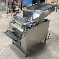 Machine à éplucher les œufs de caille commerciale, machine à éplucher les œufs de caille automatique, grande Machine à éplucher