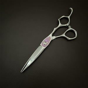 Tijeras de Peluquería de 6.0 Pulgadas, Tijeras de Entresacar con Hoja Estándar para Diestros, de Acero Inoxidable, para Uso Profesional, Longitud de 62 mm - Product Image 1