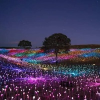 Fibre Optique Fleur Reed Lumières Nouveau Jardin Cour Parc Décoration Fibre Optique Lumière