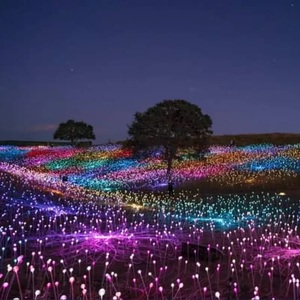 La nuova luce a fibra ottica della decorazione del parco del cortile del giardino - Product Image 5