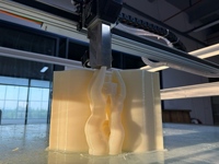 Imprimante 3D industrielle de haute précision de petite taille pour la fabrication de prototypes rapides