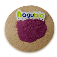 Hete Aanbieding Moerbeipoeder Natuurlijk Moerbeifruit Extract Poeder