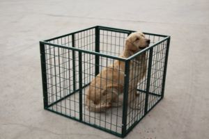 Rumah anjing peliharaan besar kualitas tinggi pemasangan mudah dalam ruangan dan luar ruangan rumah anak anjing kandang hewan peliharaan untuk dijual (XMR) - Product Image 6