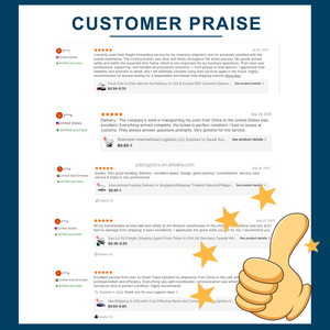 चीन से जर्मनी के समुद्री माल शिपिंग एजेंट के लिए सीमा शुल्क निकासी एजेंट के लिए कस्टम क्लीयरेंस एजेंट - Product Image 6